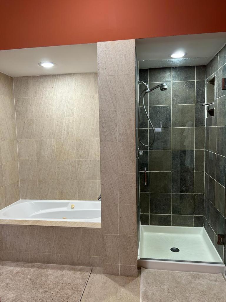 Appartamento Gorgeous North Kenwood Hyde Park Unit Chicago Esterno foto