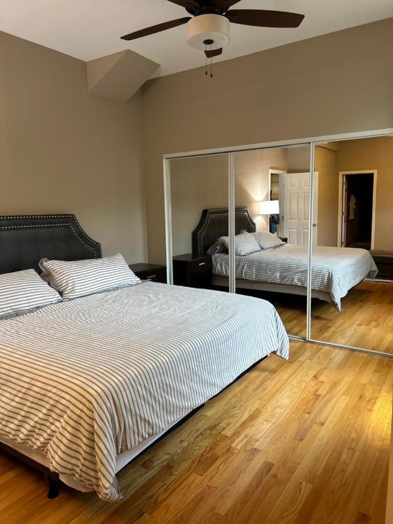Appartamento Gorgeous North Kenwood Hyde Park Unit Chicago Esterno foto